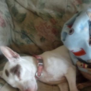 Meet your Posher, Christine